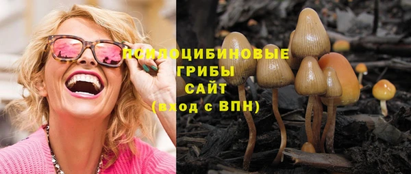 прущий лед Лиски