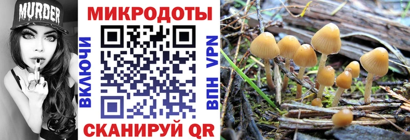 Псилоцибиновые грибы GOLDEN TEACHER  Пересвет 